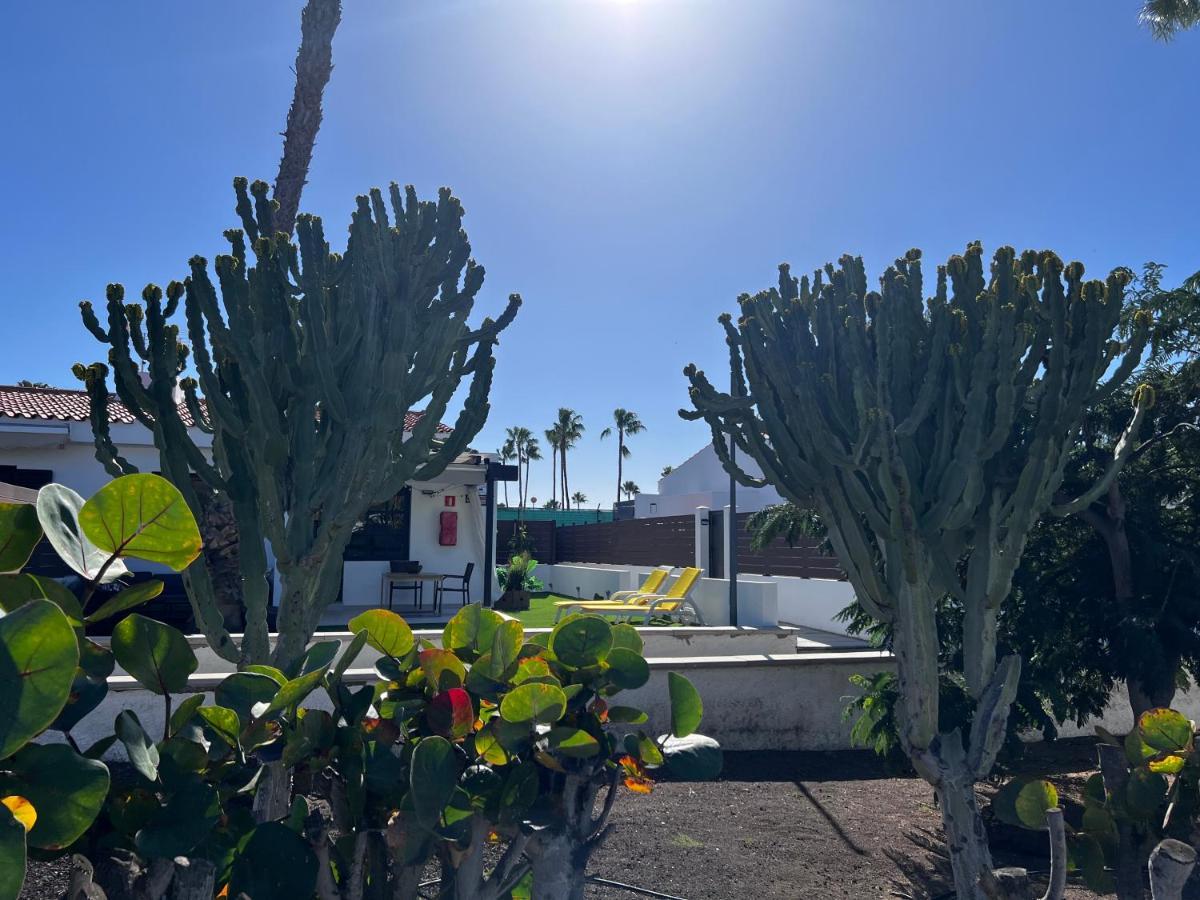 Escarabajo Bungalow Il Maggiolino Maspalomas (Gran Canaria) Exterior foto